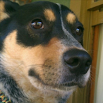Oliynzxi's Avatar'