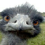 Slyder.'s Avatar'