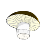 Heintz123050's Avatar'