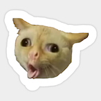 O00000000000OO_'s Avatar'