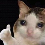 LeePumP's Avatar'