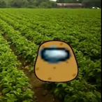 Kartoffelus's Avatar'