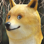 RohrstockRonnie's Avatar'