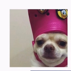 jeanchang507's Avatar'