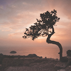 MkillingWhy's Avatar'