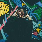 Aryandb's Avatar'