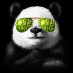 ojkapp's Avatar'
