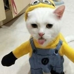 TaklaKINGG's Avatar'