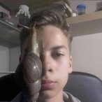 Confusified_'s Avatar'