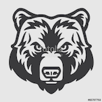 MartialBear's Avatar'