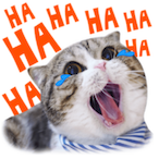 PronatorQuadrat's Avatar'