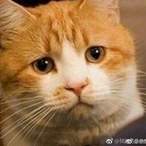 huachenyuexi's Avatar'