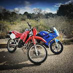 samueleitor8's Avatar'