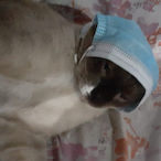 Conrado147's Avatar'