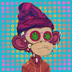 Xryr00's Avatar'