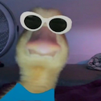 LysoIWipe.'s Avatar'