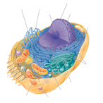 BigBloodBen's Avatar'