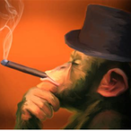 Son_of_Stu's Avatar'
