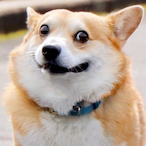 DEMONIX.I.S's Avatar'