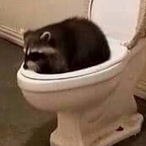 itcherofsacks's Avatar'