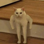 katjjushka's Avatar'