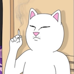 NotRook_'s Avatar'