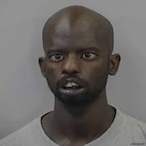 nerfhamsterbomb's Avatar'