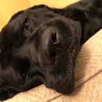 SubZero-686's Avatar'