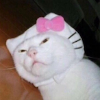 MrMagnata's Avatar'