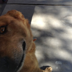 dr.ben_dover's Avatar'