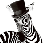 TheCornerZebra's Avatar'