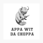 AppaWithAStoppa's Avatar'