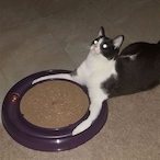 pat.BOX's Avatar'