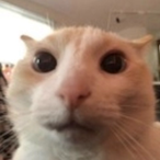 Free_TS_Cuzo's Avatar'