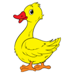 PateEnCroute.5's Avatar'