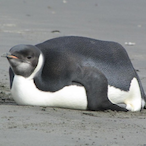 IhateXim6767's Avatar'