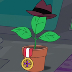 MrsFox0805's Avatar'