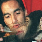 PelanzaBOY's Avatar'