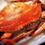 push sight's Avatar'