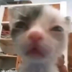 batman_101's Avatar'