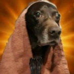 BUYYAKKA's Avatar'