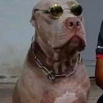 CORR3_BERG_ID's Avatar'