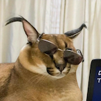 CoolFloppa-_-'s Avatar'