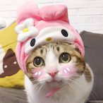 SuiYueV5's Avatar'