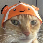 Manggo.lwa's Avatar'