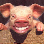 ArBiBihan's Avatar'