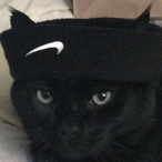 Maumauzinho23's Avatar'