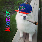 Wheat_25's Avatar'