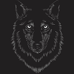 Priiimal's Avatar'