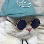 luiseira's Avatar'